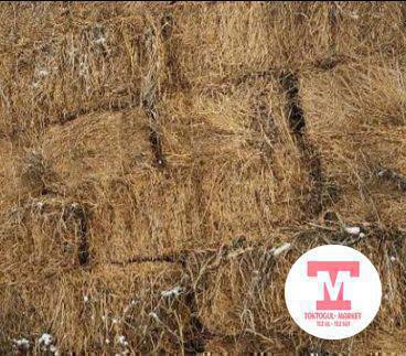 беде прес сатылат 380сом 120 кип бар Терек-Сууда.