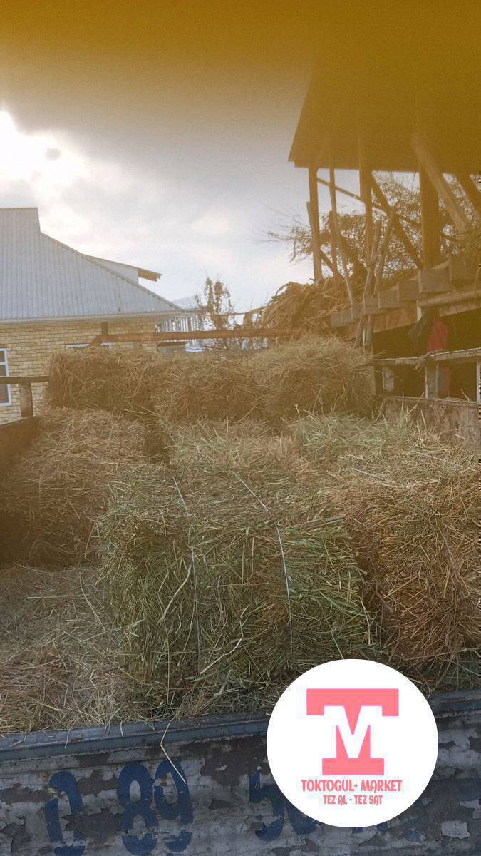 Беде чөп аралаш клиптин көлөмү чон