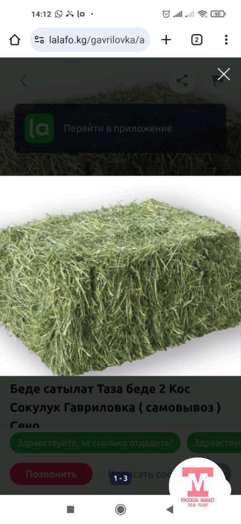 беде кип сатылат 370 сом 2 чабык амапо берген эмесмин