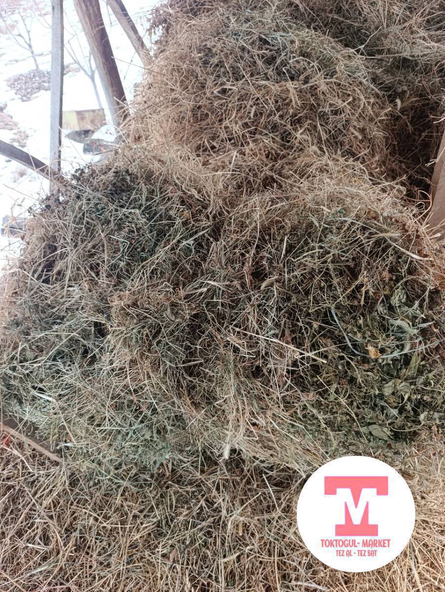 ТАБИГЫЙ БООЛОНГОН ЧӨП САТЫЛАТ,ЧОҢ ЧОҢ БАЙЛАНГАН. 150СОМДОН