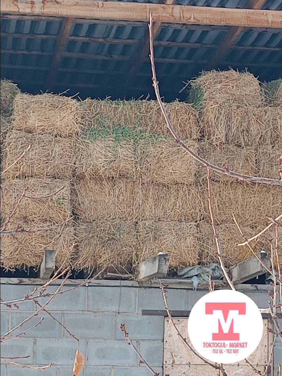 таза беде прес сатылат местный