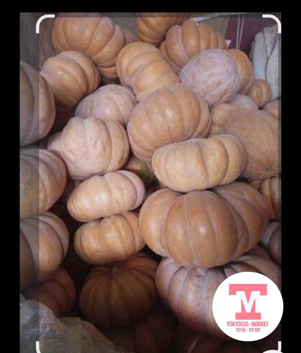 саламатсыздарбы оптом ашкабак болсо алам