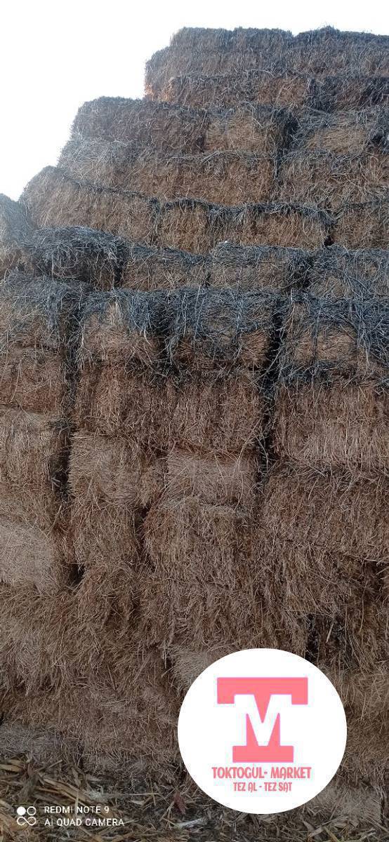 беде пресс сатылат 320 сом