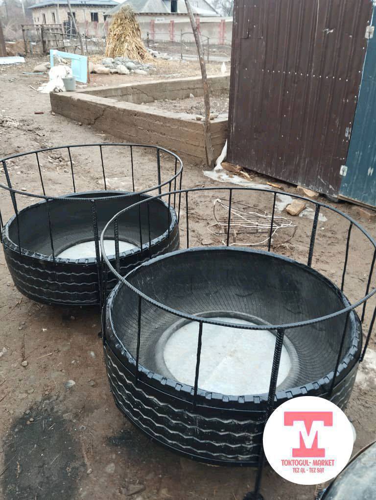 Аштоо акырлар сатылат, Кой-козуларга