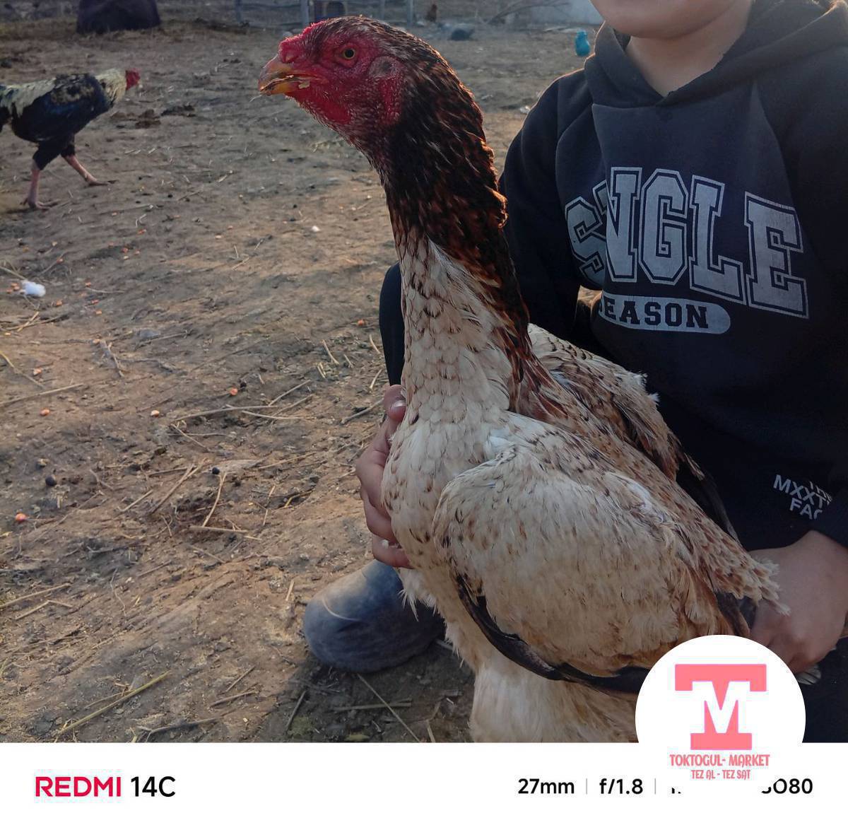 дакен сатылат