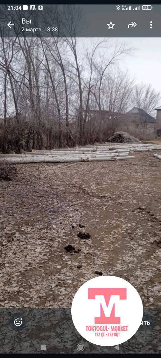 Терек тилген пилорама керек Терек тилдирем