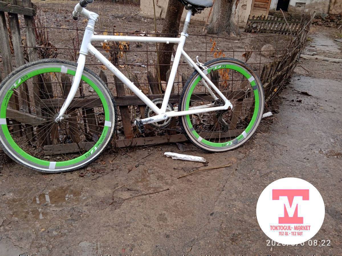 велик сатылат  срочна !!!