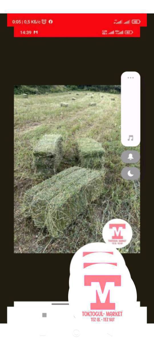 Беде пресс сатылат Токтогул да таза навесте сакталган.