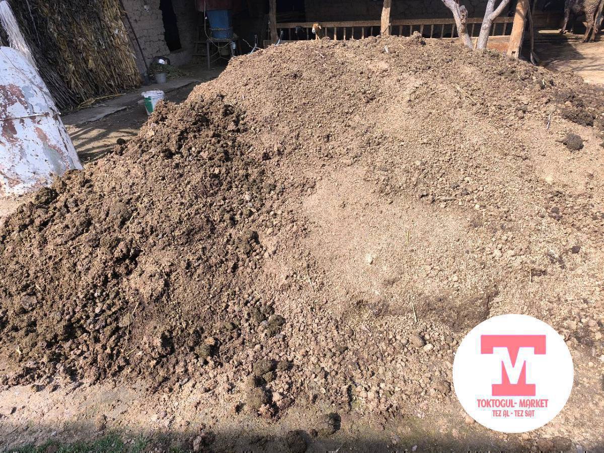 Бекер кык алып кетиңиздер