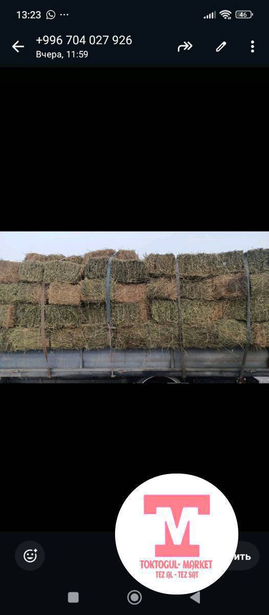 таз беде алам 2чи же 3чу чабык болсо