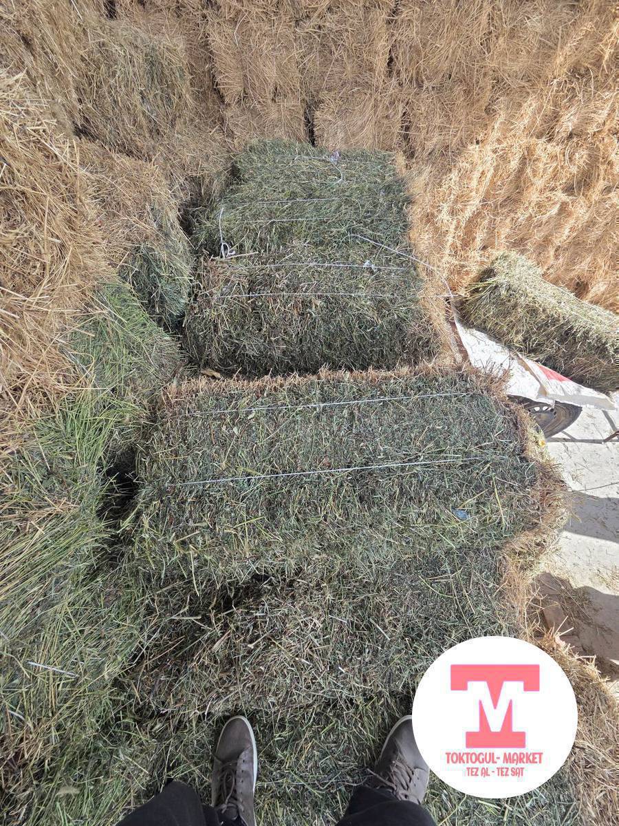 чон киптелген местный беде прес сатылат