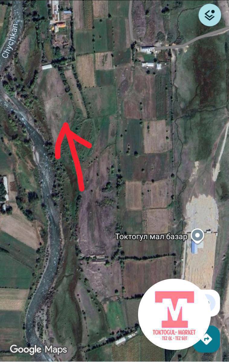Жаңы Жолдо мал базардын артында Чычкан суунун жээгинде 2 га жер сатылат. Кызыл китеп.
Баасы келишим түрдө.
0773502474