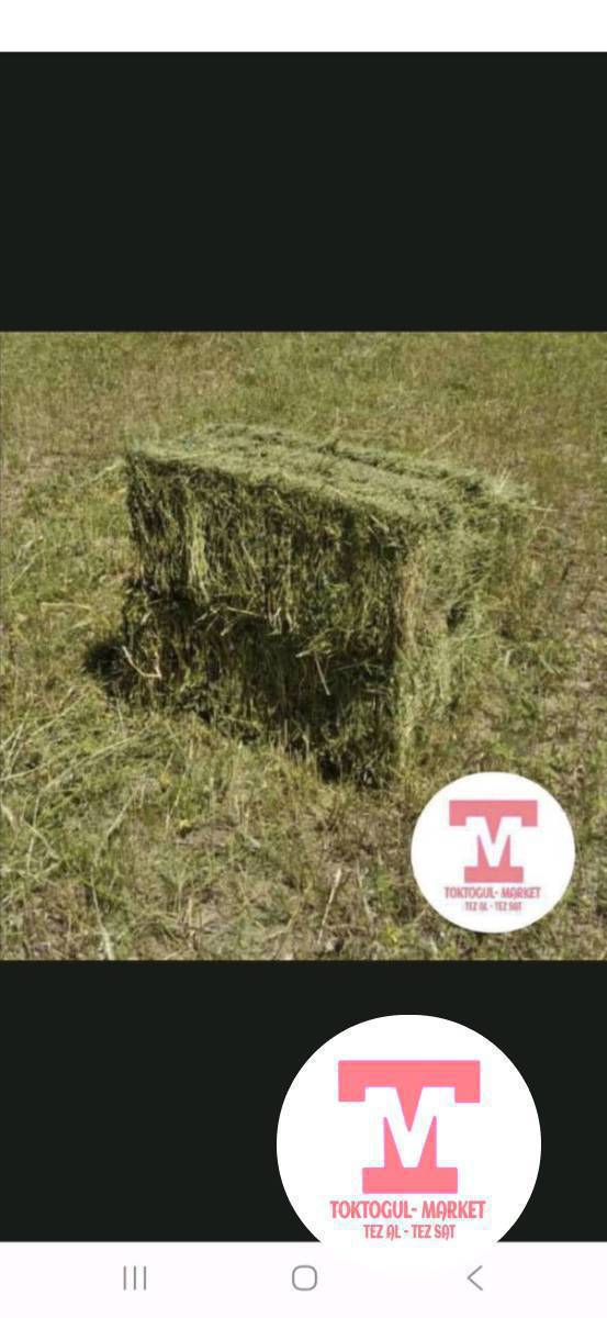 Беде прес сатылат