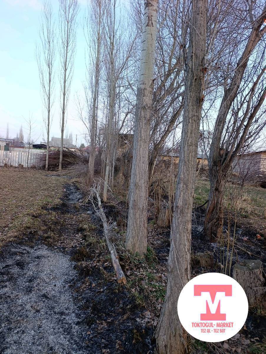 Терек сатылат 
адрес Кызыл-Туу