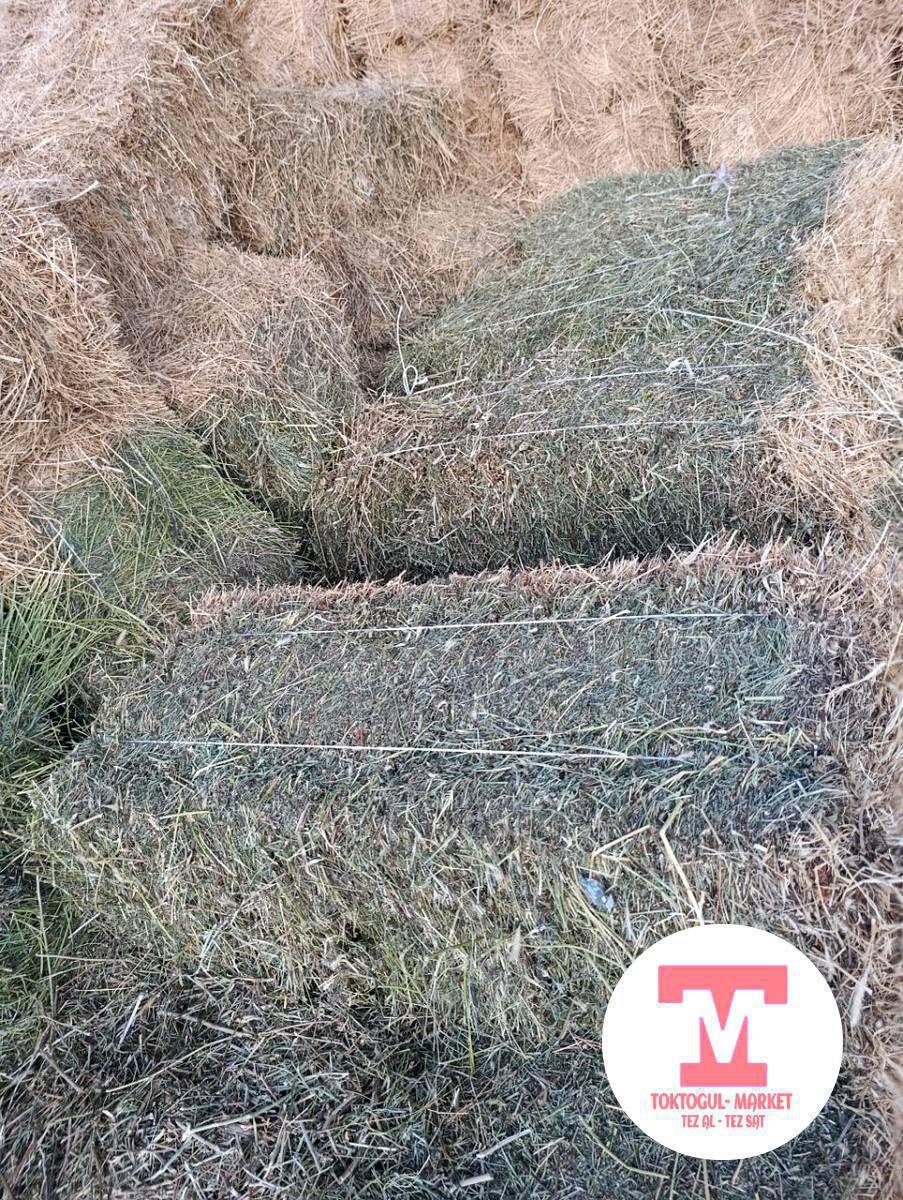 беде прес сатылат метровый центирде