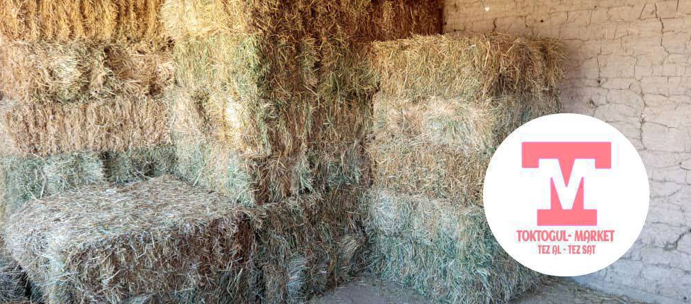 кип сатылат