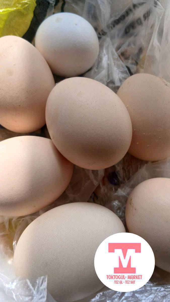 домашный жумуртка сатылат