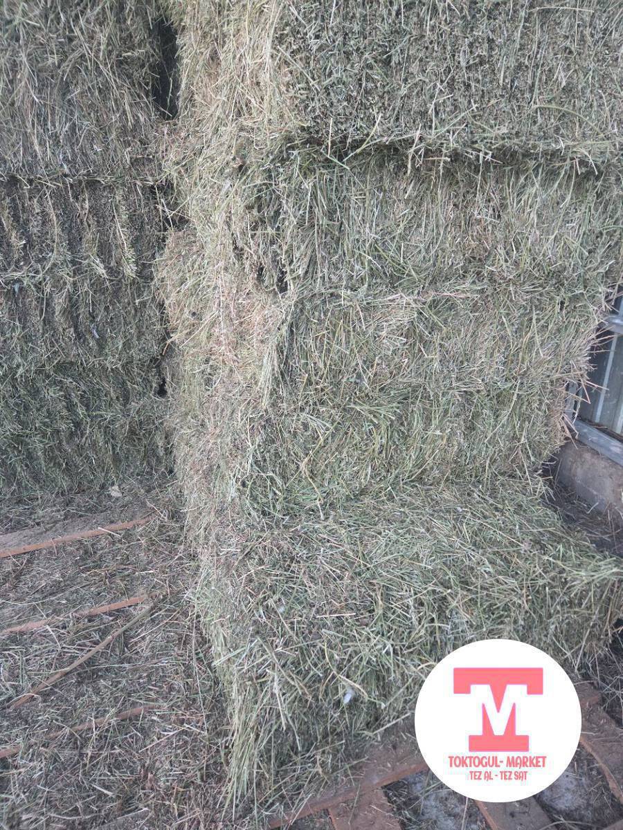 Чоп сатылат беде пресс местный. Ак Жондуку.