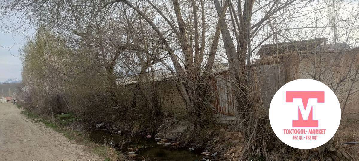 отун кимге керек кыйып алып кеткиле