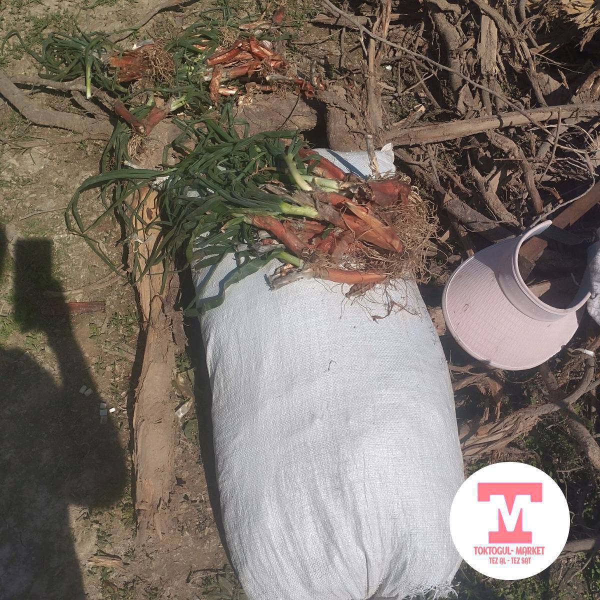 соогон сатылат