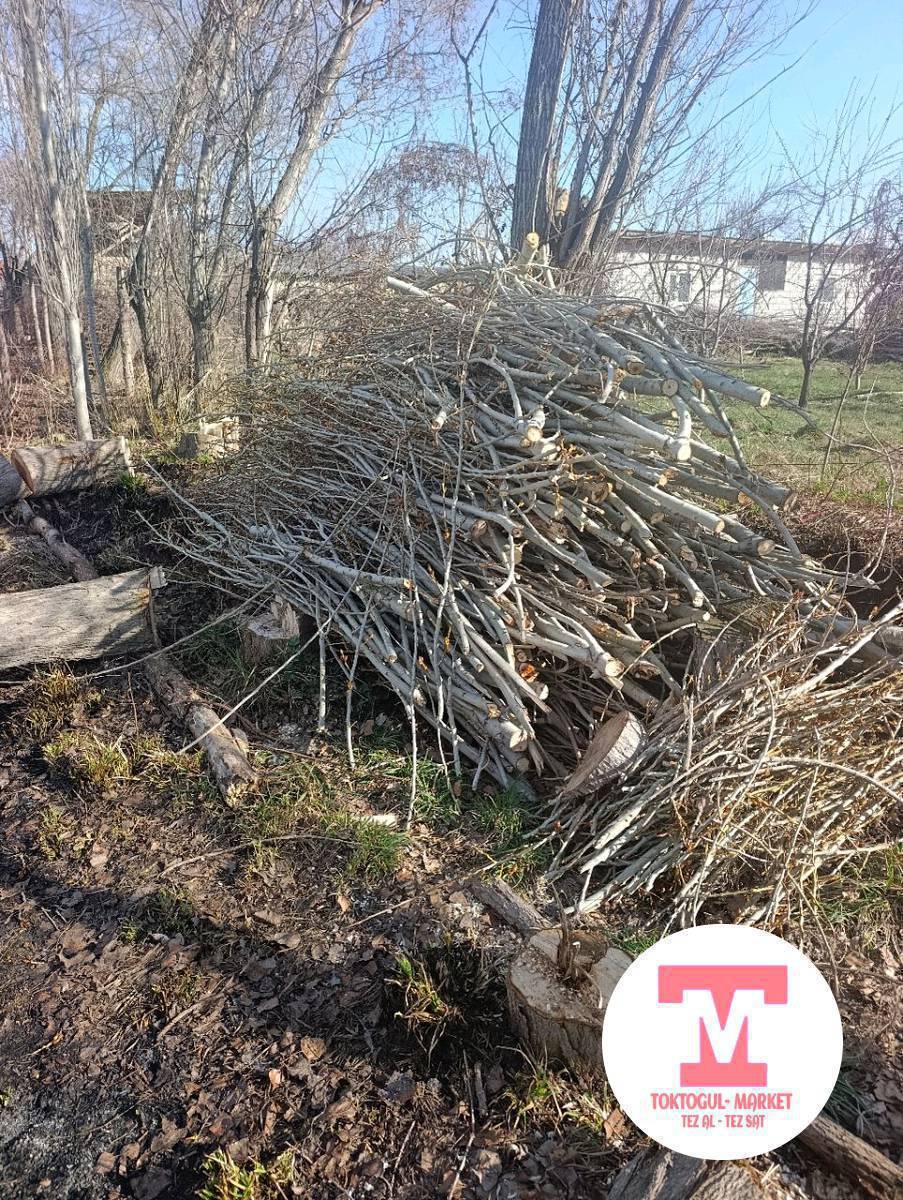 Отун Сатылат
Жоондору Бир Портер -5000сом
Чырпык -500сом
Майда Чырпык Бекер алсанар болот