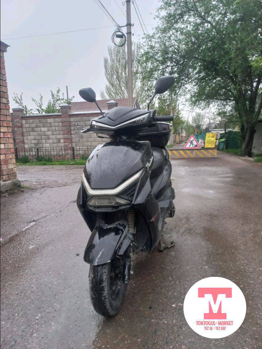 TOYO-200 M12 180куб мотор зверь тяга бодрый