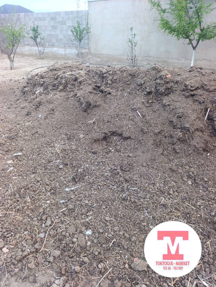 Бекер кык алып кетиңиздер