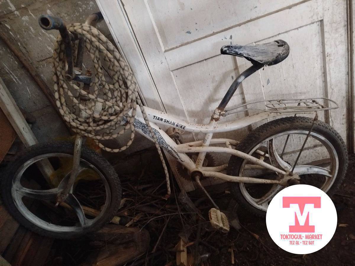 ушул велик сатылат