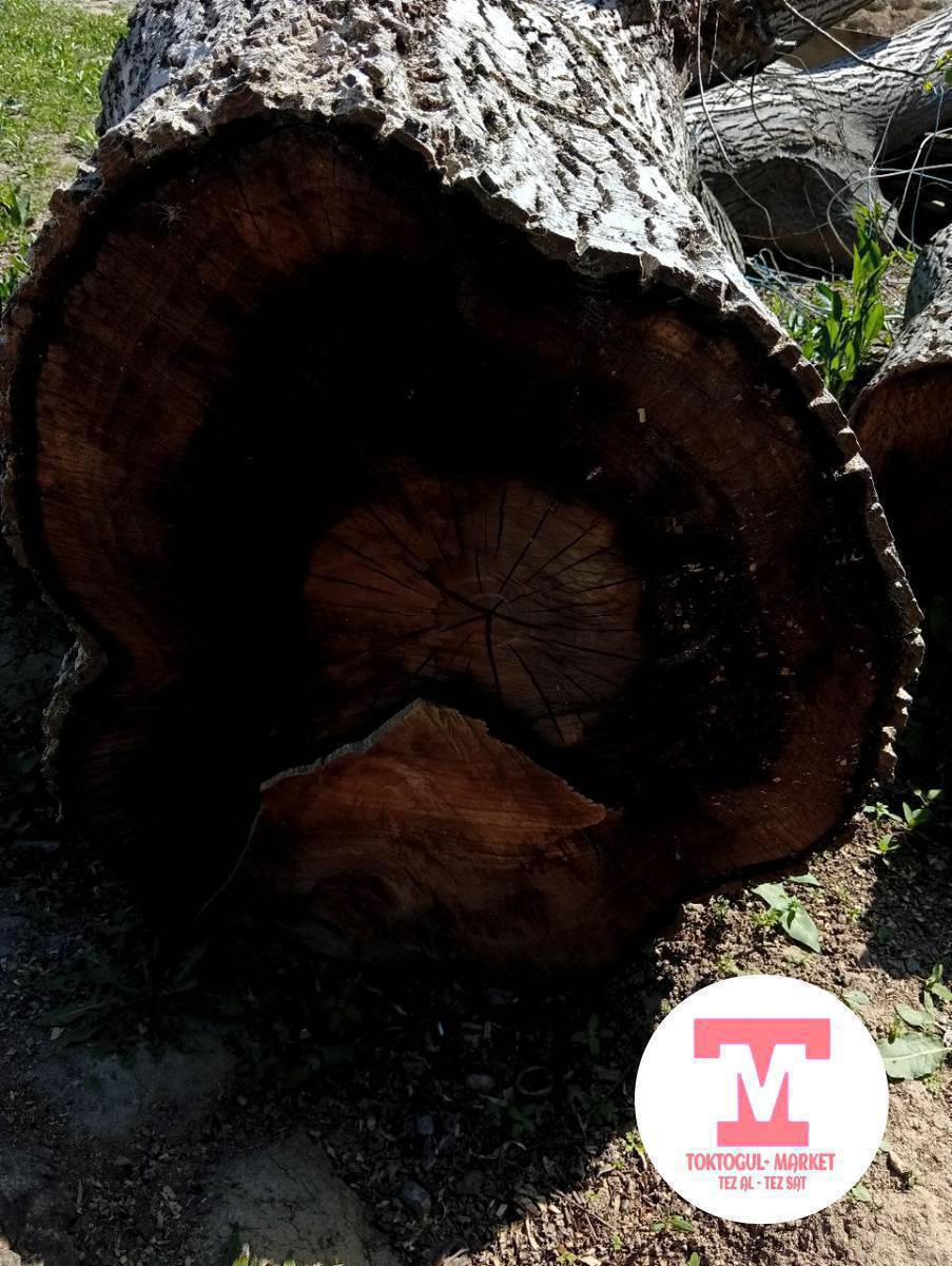 жангак сайтам,туурасы 60-70,узуну 1,5,дан араланган, келишип суйлошсок болот