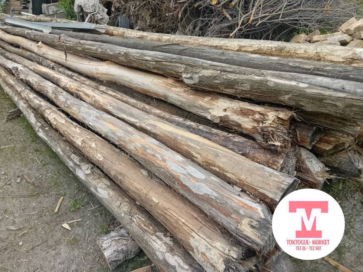 1 салар жана гарбил сатылат