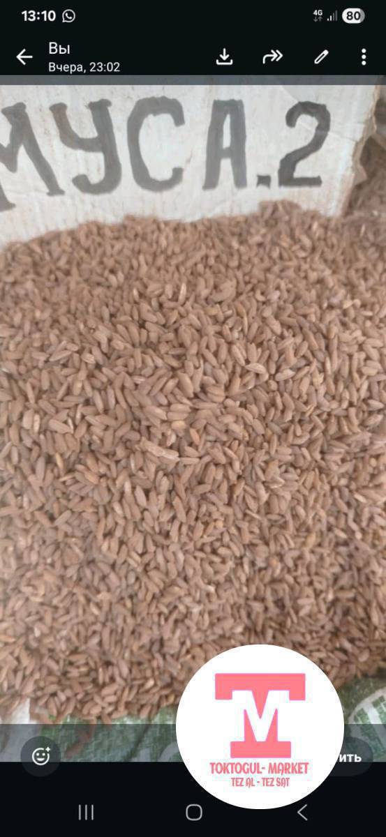 груч озгон муса 2 ширелуу жана таттуу суунуу