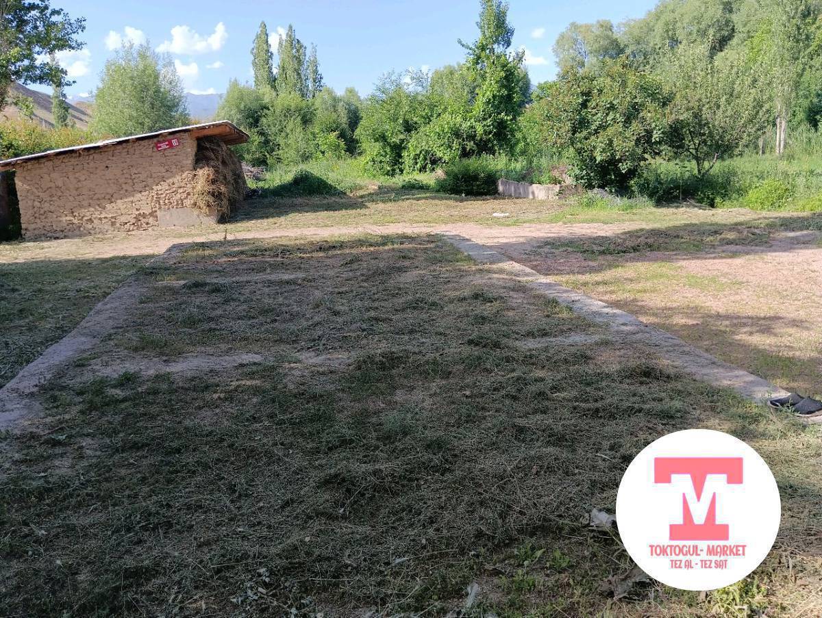 тосколдон там, жер сатылат келишим баада, шартары бар