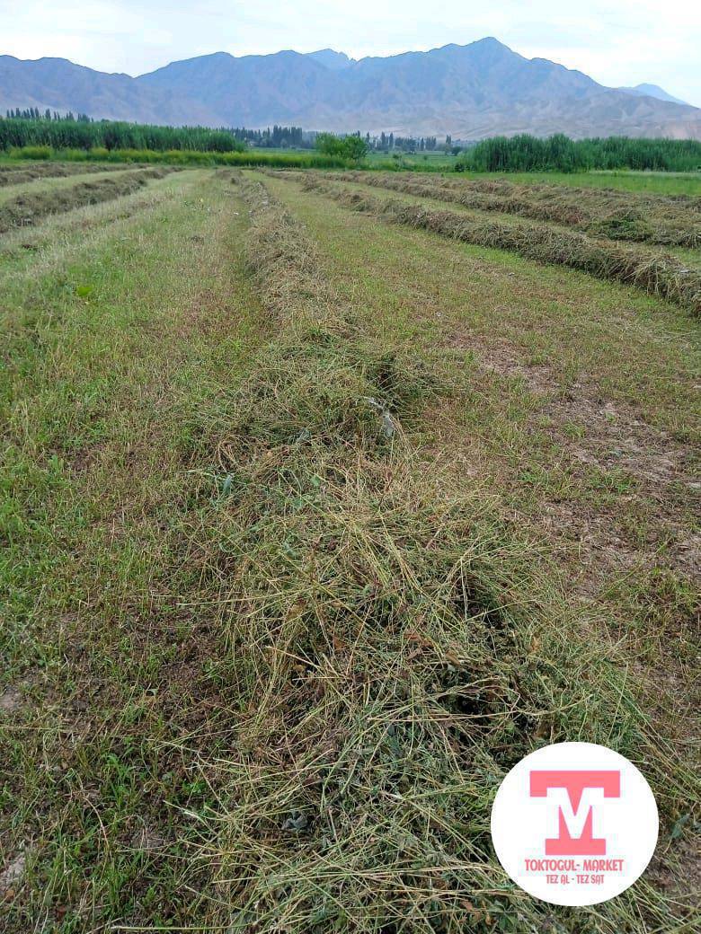 Беде прес сатылат 508130974