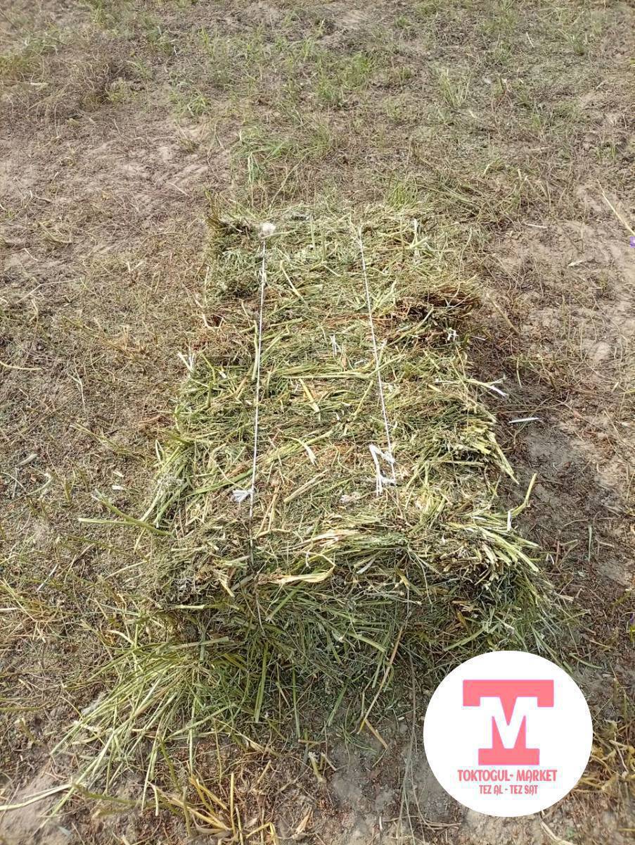 Срочно Срочно!!! Эспарцет сатылат чөп аралаш барчындан 800 кип баасы 250 сом