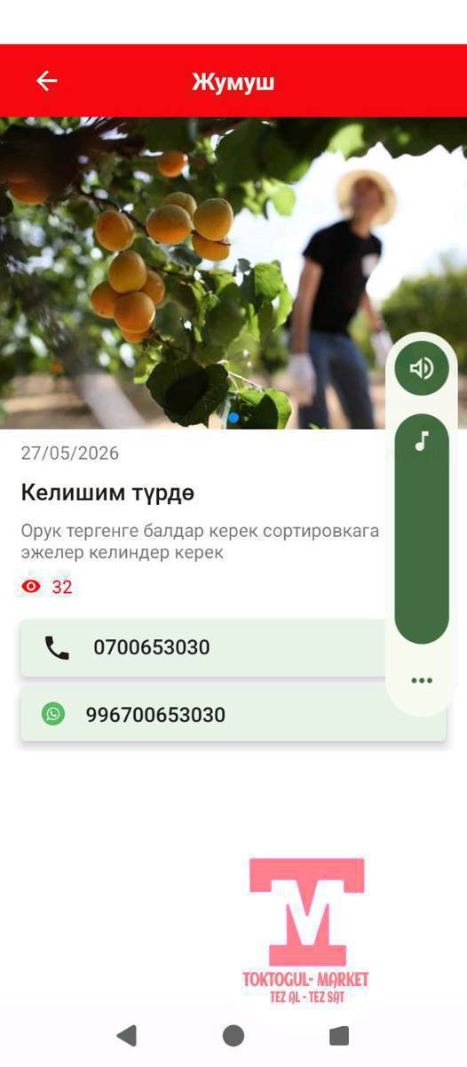 жумуш Керек 2 бала