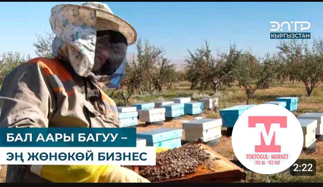 Аары яшик алабыз жаңырак болсо.