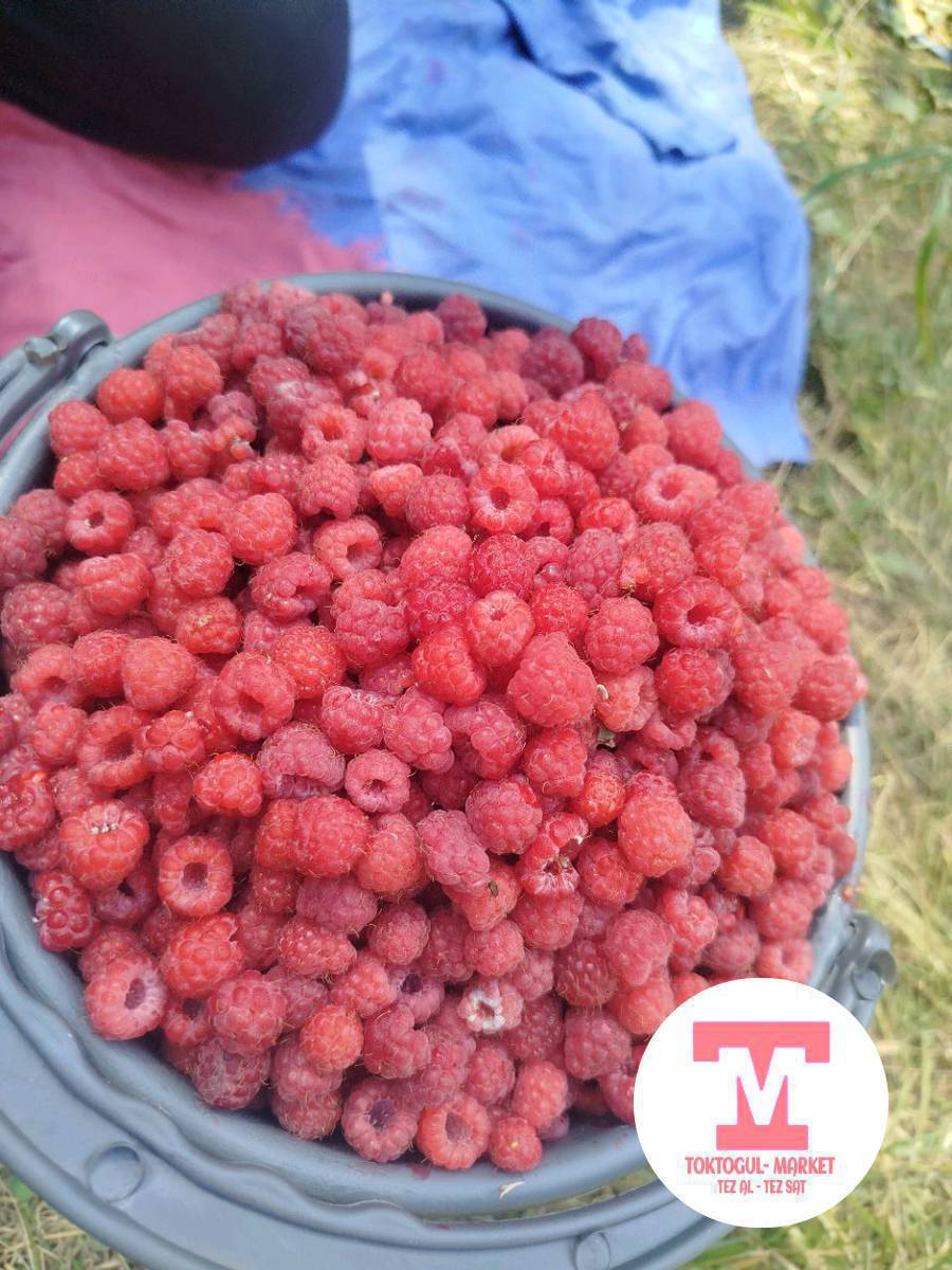 малина сатылат челеги 1500сом жапайы малина