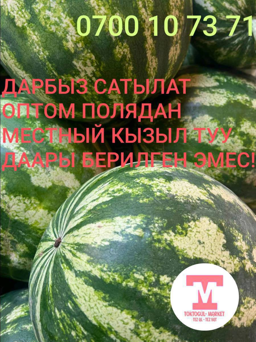 ДАРБЫЗ САТЫЛАТ 
ОПТОМ И В РОЗНИЦУ.
