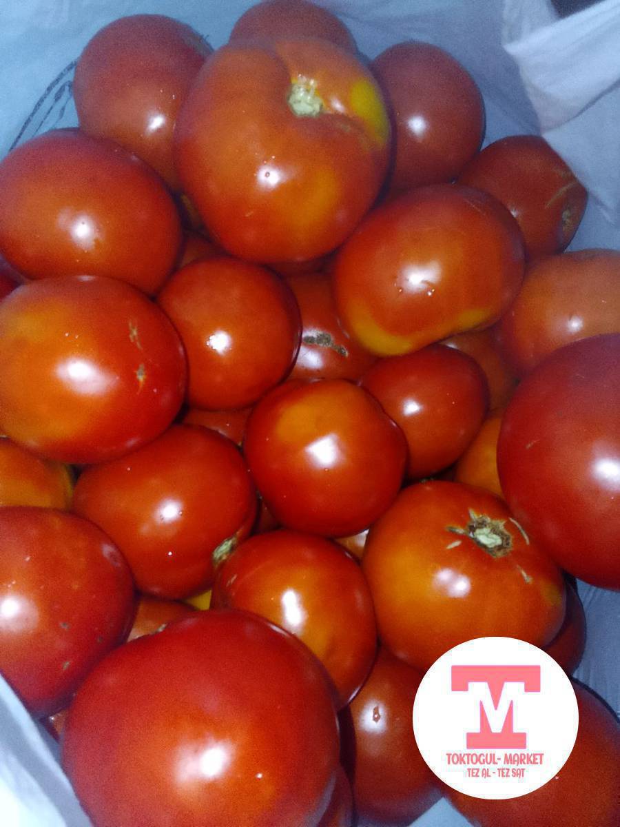Помидор 🍅 сатылат жаны терип берем адрес торкенде кг 25 Тен