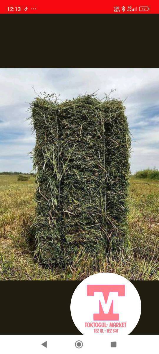 Кайракта беде кип Сатылат