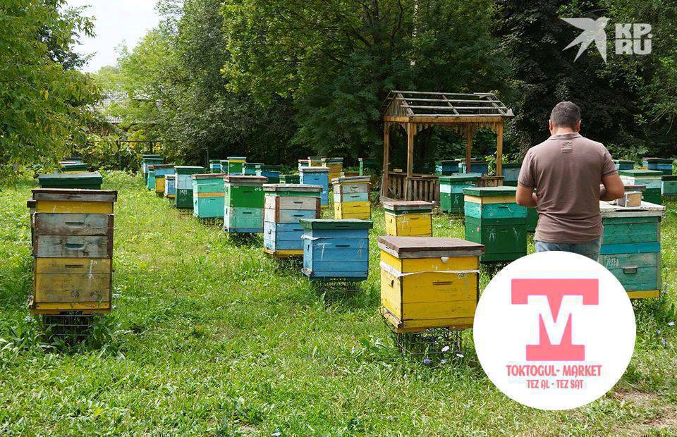 Эртен кечинде чаян көчүргөнү балдар керек