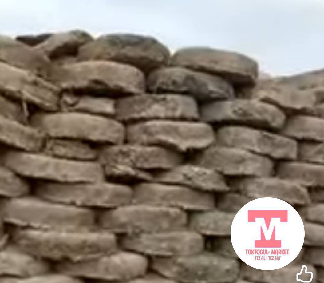 Койдун гону сатылат, бир портрет 4500 сом