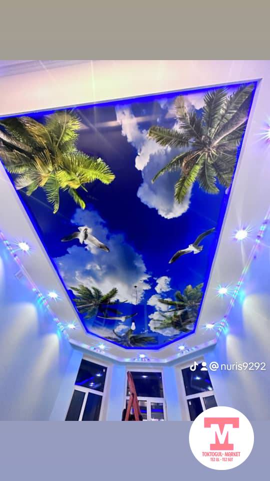 galleries/1000498534.jpg