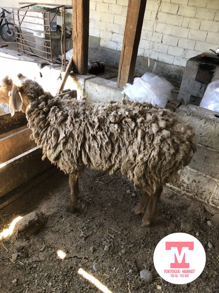 galleries/25_pic_ios.jpg