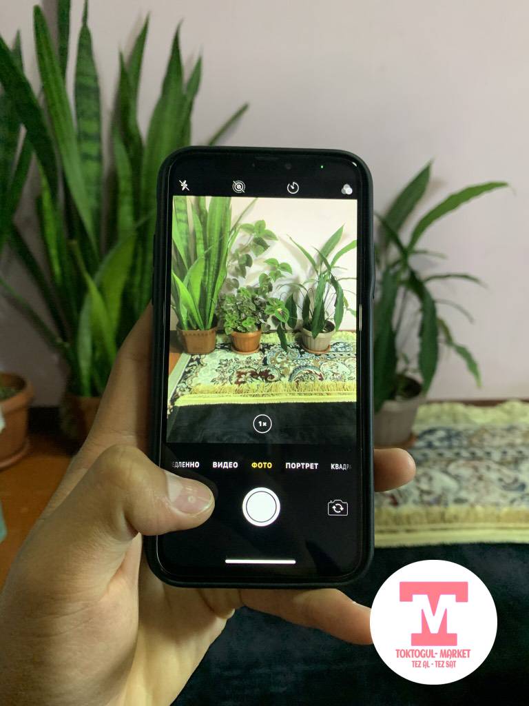 galleries/404_pic_ios.jpg