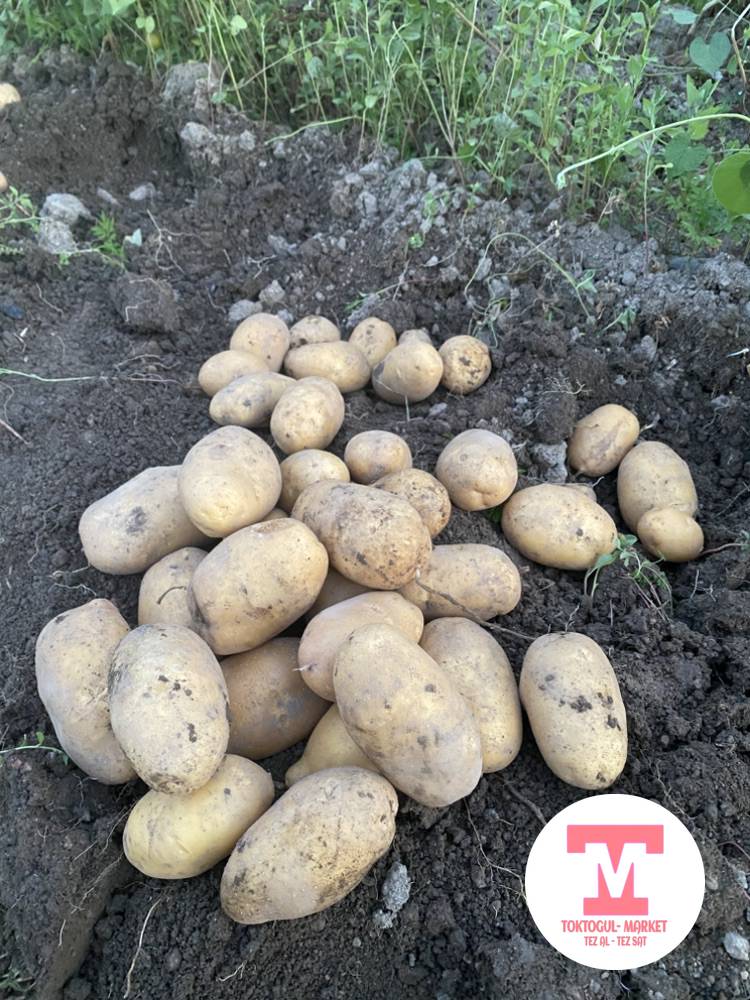 galleries/99655_ios.jpg