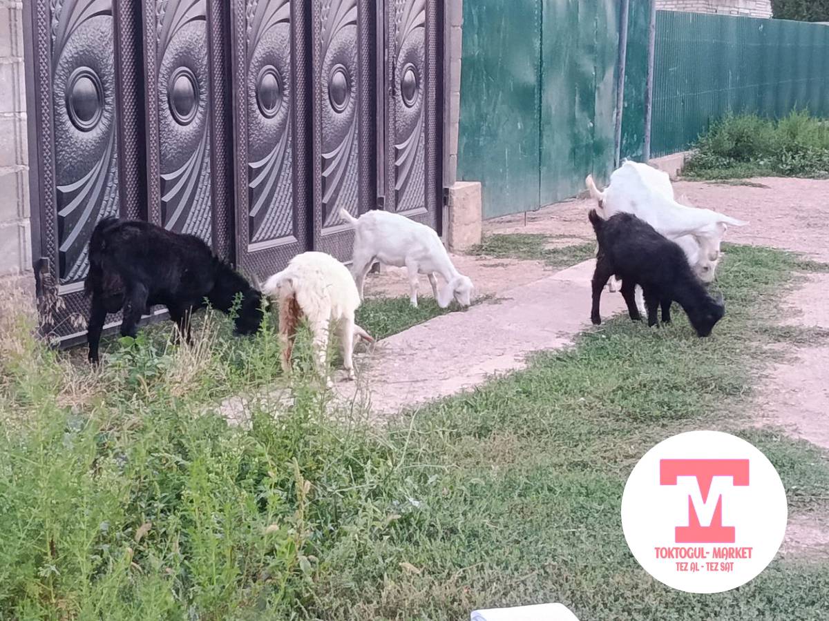 galleries/IMG_1786975814304.jpg