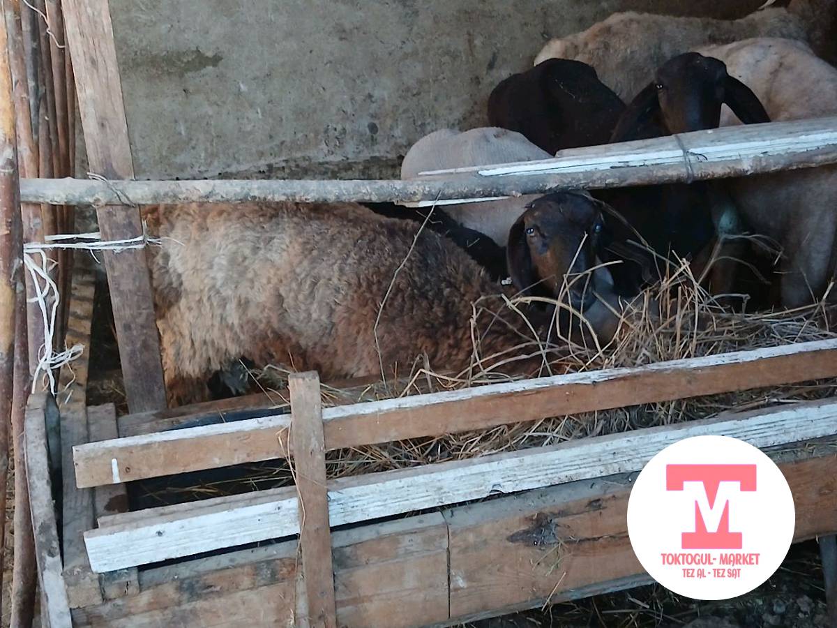 galleries/IMG_1789883311986.jpg